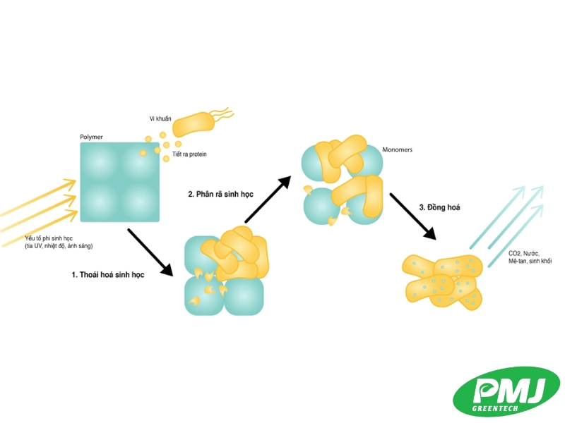 Hạt nhựa Bio là gì?