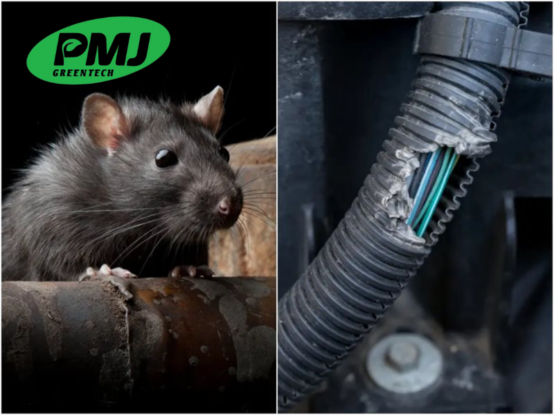 Mua phụ gia chống gặm nhấm tại Hà Nội chuẩn, giá tốt