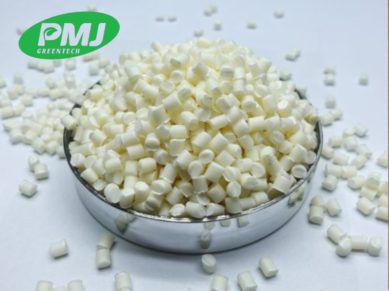 Nhựa kỹ thuật sinh học là gì? Giải pháp BIO COMPOUND 01 từ PMJ GREENTECH 